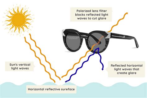 Polarized Lenses and Anti.